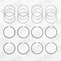 Anel (JG) - BMW 1.8L 8V M42 (184S1) M43 (184E2) 318 Gasolina