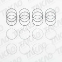 Anel JG BMW 2.0L 16V N46B20B/E X1 após 10 120i, 320i 03