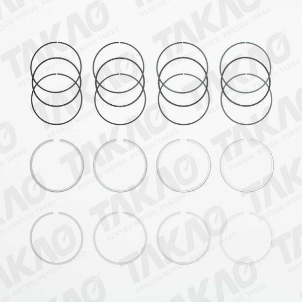 Anel (JG)-2.0L 16V N46B20B/E X1 após 10 120i, 320i 03