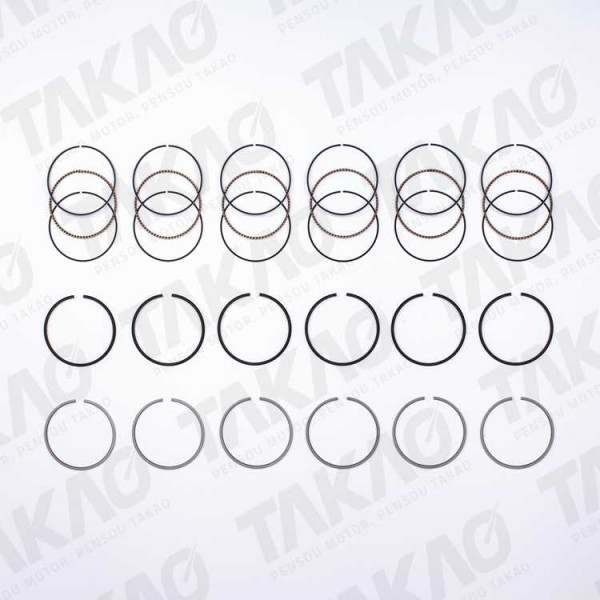 Anel JG BMW 2.5L 24V L6 M50 (256S1/S2) 325