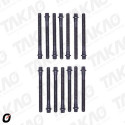 Parafuso de Cabeçote (JG) - BMW 2.5/2.8/3.0L 24V  M52/M54 325,328,330 528, 530, X3, X5