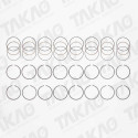 Anel (JG) - Chrysler/Dodge/Jeep 5.2L 16V V8 Dakota Durango, Laredo Cherokee, Ram 1500