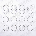 Anel (JG) - Citroen/Fiat/Peugeot 2.3L 16V DOHC Boxer,Ducato Multjet Jumper