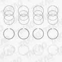 Anel JG Citroen/Peugeot 2.0L 16V EW10A/J4 307,Xsara Flex/Gas