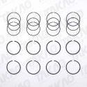 Anel (JG) - Daewoo 2.0L 8/16V Espero,Leganza,Nubira X20SED/ C20LE