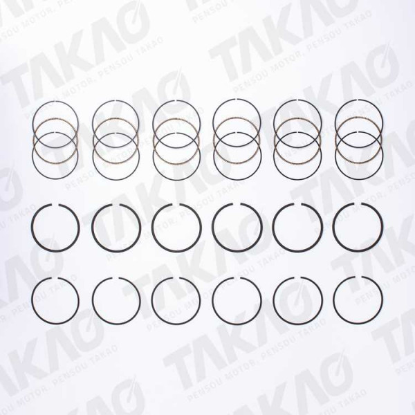 Anel (JG) - Audi/Volkswagen 2.8/3.0L 12/30V V6 A4,A6,A8,A80,Passat Variant Gasolina