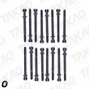 Parafuso de Cabeçote (JG) - Audi/Volkswagen 2.8/3.0L 30V V6 A4,A6,A8,A8 até 01 Gasolina