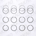 Anel (JG) - GM/Suzuki 2.0L 8V SOHC RHZ Tracker,Grand Vitara Diesel/Turbo