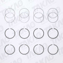Anel (JG) - SsangYong 2.0L 16V DOHC Actyon,Sports,Kyron Korando