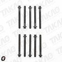 Parafuso de Cabeçote (JG) - Renault 2.0L 16V F4R Duster, Captur, Scenic Megane, Laguna