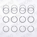 Anel (JG) - Nissan 2.5L 16V YD25 DOHC Pathfinder, Frontier Diesel