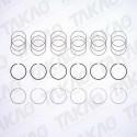 Anel (JG) - Nissan 3.5/4.0L 24V V6 Altima, 350Z, Maxima Murano, Pathfinder