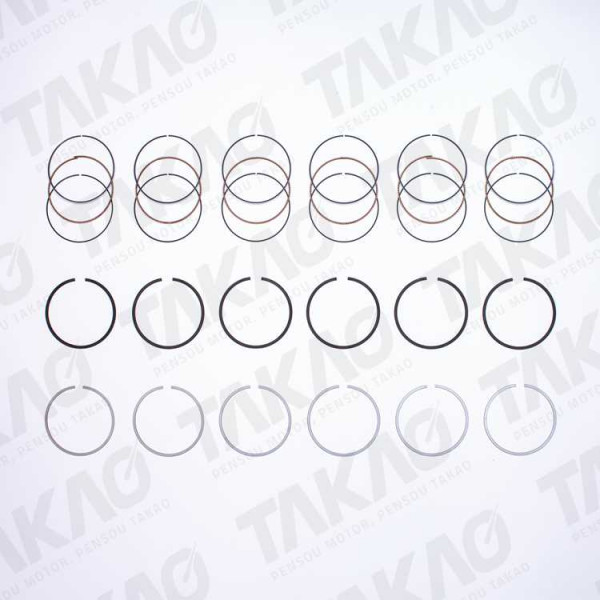 Anel (JG) - Nissan 3.5/4.0L 24V V6 Altima, 350Z, Maxima Murano, Pathfinder