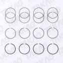 Anel (JG) - Ford 2.8L 8V Maxion Power F1000, Ranger HS HS Power Stroke
