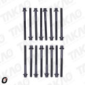 Parafuso de Cabeçote (JG) - Hyundai/Kia 3.0/3.3/3.5/3.8L 24V Azera,Cadenza Mohave,Sorento