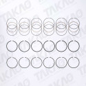 Anel JG Hyundai/Kia 3.0/3.3/3.5/3.8L 24V Azera,Sorento