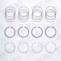 Anel JG Honda 2.0L 16V K20A1/A4/A7 K20Z3/Accord
