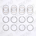 Anel (JG) - Honda 2.0/2.2L 16V SOHC Accord/VTEC, Odissey Prelude