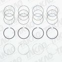 Anel JG GM 1.4L 8V L4 SOHC PRISMA