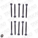 Parafuso de Cabeçote (JG) - Ford 1.8/2.0L 16V Zetec Escort,Focus,Mondeo Gasolina