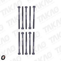 Parafuso de Cabeçote (JG)-2.0/2.5L 16V Duratec Ecosport,Rang