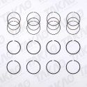 Anel (JG) - Ford 2.0L 16V DOHC Zetec Focus, Mondeo Gasolina