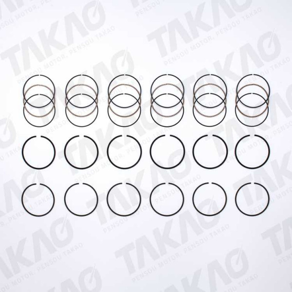 Anel (JG) - Ford 3.8/4.2L V6 Mustang Taurus, Thunder Bird F250, Windstar Wagon