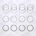 Anel (JG) - Land Rover/Mercedes 2.8L 8V L4 SOHC Defender, Sprinter 310, 312 (Maxion)