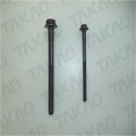 Parafuso de Cabeçote JG Ford 2.5/2.8L  Maxion F1000