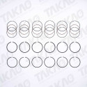Anel JG Land Rover 3.2L 24V L6 DOHC Freelander 2 após 06 Gas